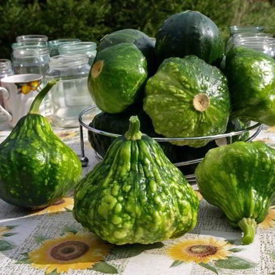 Рецепт консервации патиссонов на зиму