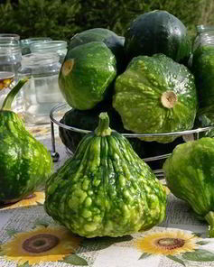 Консервация патиссонов на зиму