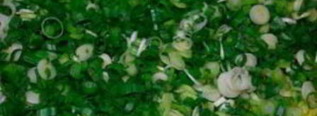 лук-батун на зиму. Шаг 2