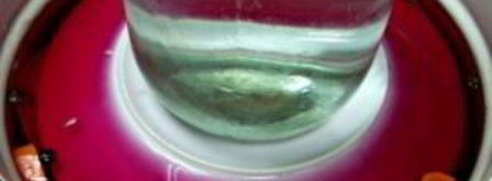 капуста маринованная с чесноком и свеклой. Шаг 8