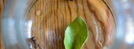 капуста, маринованная в рассоле. Шаг 7