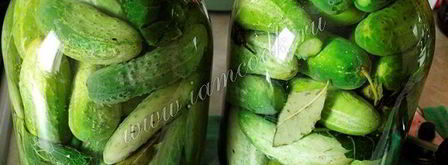 классические маринованные огурцы на зиму. Шаг 6