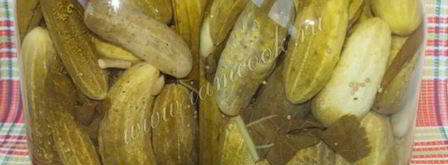 классические маринованные огурцы на зиму. Шаг 8