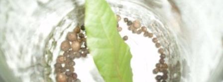 маринованная соломка из болгарского перца. Шаг 5