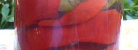 маринованный горький перец. Шаг 7