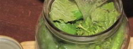 маринованные корнишоны. Шаг 5