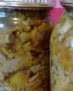 Маринованные лисички на зиму