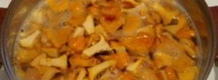 маринованные лисички на зиму. Шаг 2