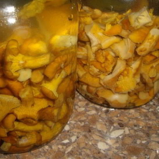 Рецепт маринованных лисичек с чесноком