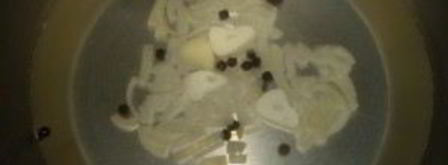 маринованные лисички с чесноком. Шаг 2