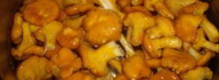 маринованные лисички с чесноком. Шаг 3