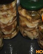 Маринованные маслята