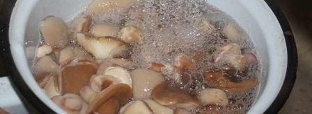 маринованные маслята. Шаг 3