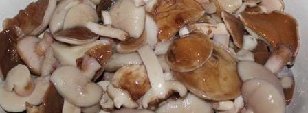 маринованные маслята. Шаг 4