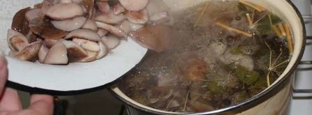 маринованные маслята. Шаг 5