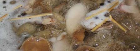 маринованные маслята. Шаг 6