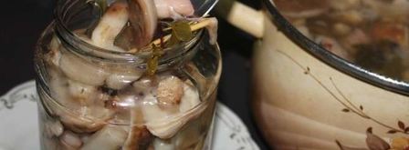 маринованные маслята. Шаг 7