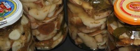 маринованные маслята. Шаг 8