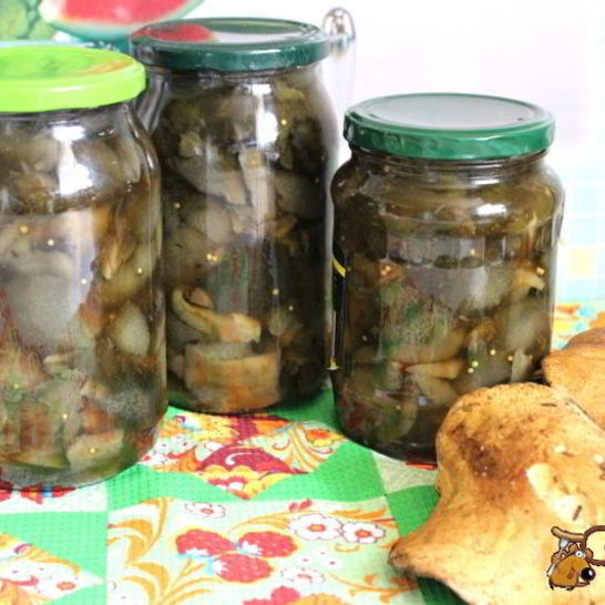 Рецепт маринованных моховиков на зиму