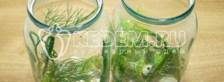 маринованные огурцы с горчицей пальчики оближешь. Шаг 4