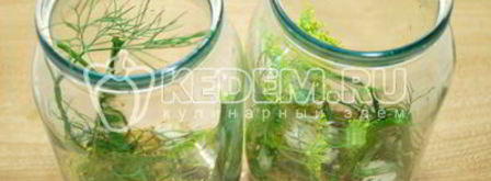 маринованные огурцы с горчицей пальчики оближешь. Шаг 5