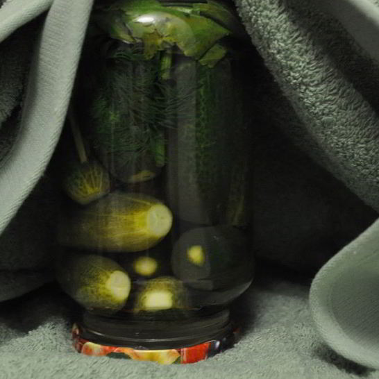 Рецепт маринованных огурцов