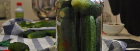 маринованные огурцы. Шаг 6