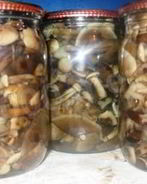 Маринованные опята на зиму