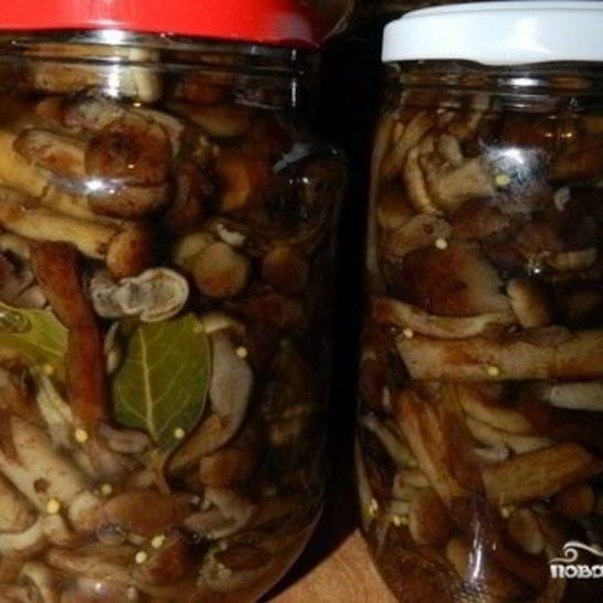 Рецепт маринованных опят с горчицей