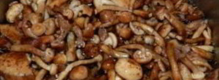 маринованные опята с горчицей. Шаг 2