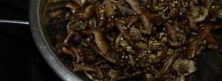 маринованные опята с горчицей. Шаг 5