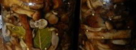 маринованные опята с горчицей. Шаг 8