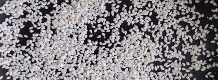 маринованные шампиньоны. Шаг 5