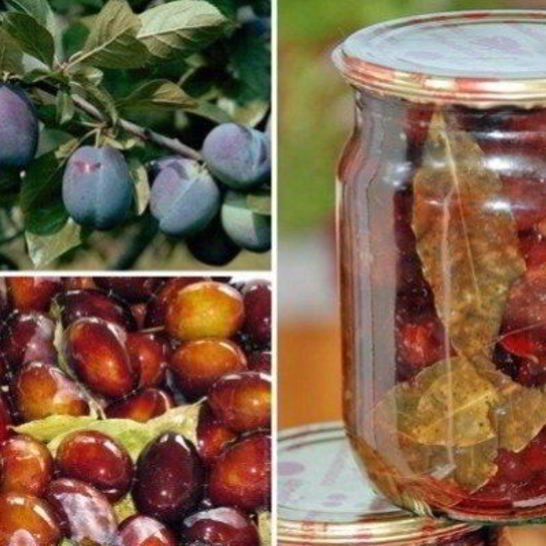 Рецепт маринованных слив на зиму