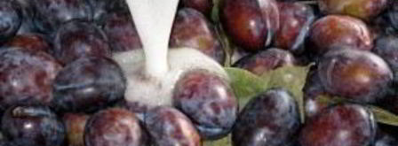 маринованные сливы на зиму. Шаг 4