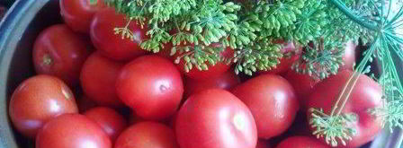 помидоры маринованные с базиликом. Шаг 2