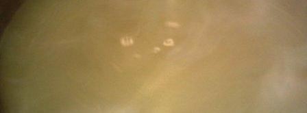 помидоры маринованные с базиликом. Шаг 5