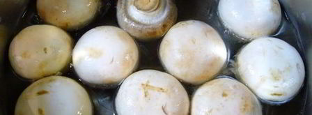 шампиньоны маринованные. Шаг 2