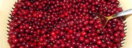 моченая брусника на зиму. Шаг 2