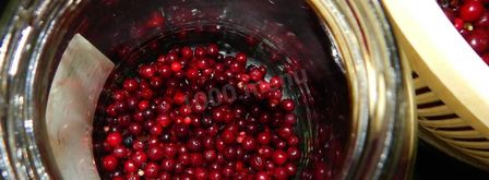 моченая брусника на зиму. Шаг 3