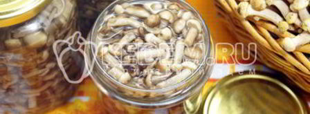 опята душистые. Шаг 12