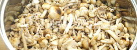 опята душистые. Шаг 4