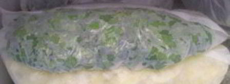 петрушка на зиму. Шаг 4