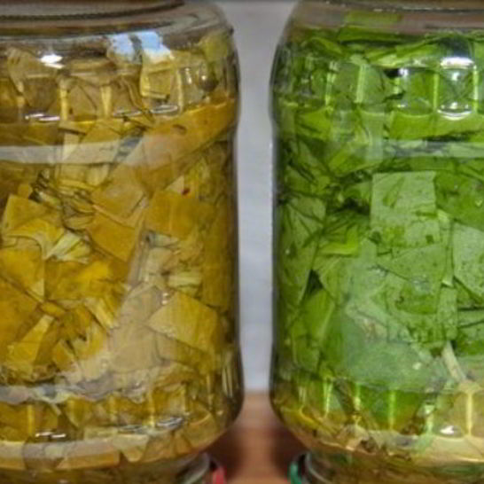 Рецепт щавеля на зиму в банках