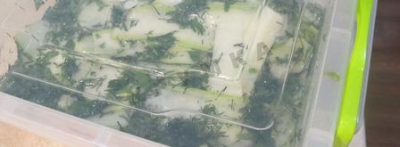 быстрые малосольные кабачки. Шаг 11