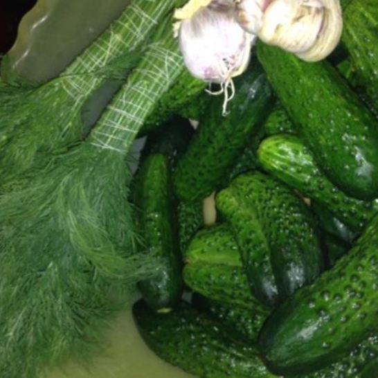 Рецепт быстрых малосольных огурцов