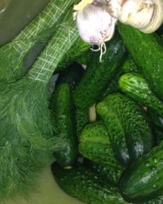 Быстрые малосольные огурцы