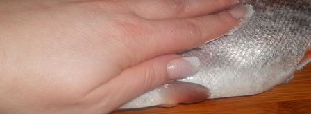 форель малосольная. Шаг 4