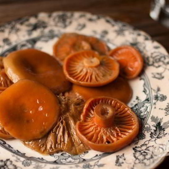 Рецепт грибов соленых