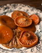 Грибы соленые